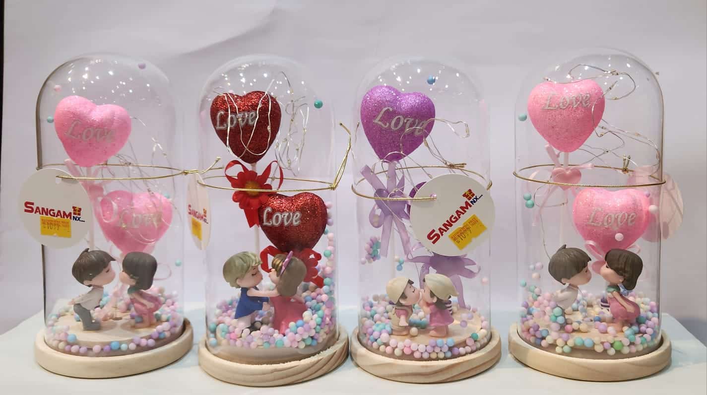 WhatsApp Image 2026-01-30 at 8.28.51 PM (1)