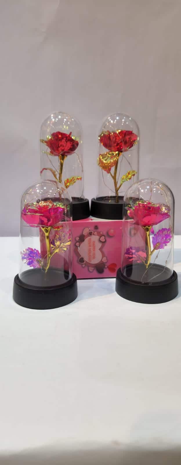 WhatsApp Image 2026-01-30 at 8.29.11 PM (1)