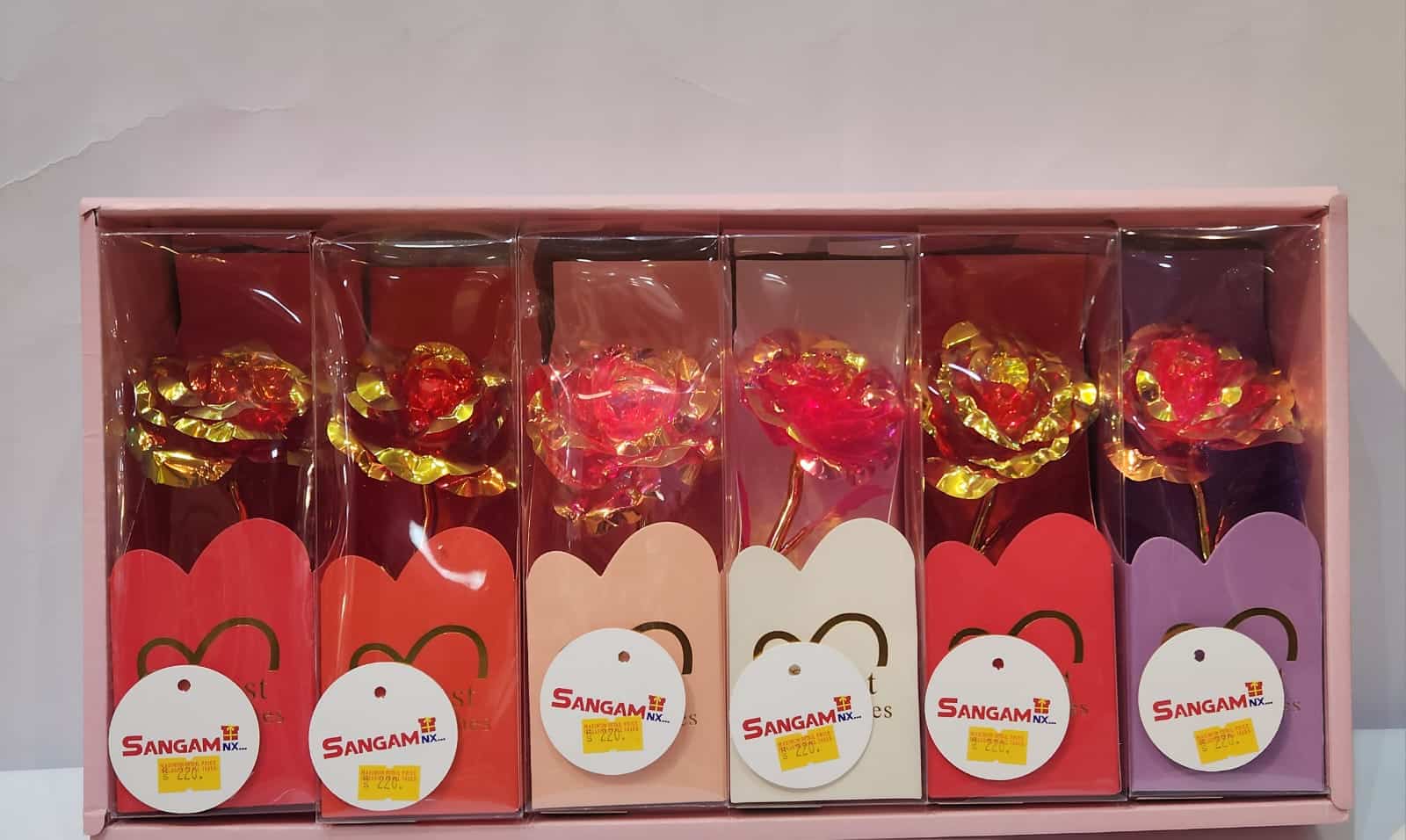 WhatsApp Image 2026-01-30 at 8.29.48 PM