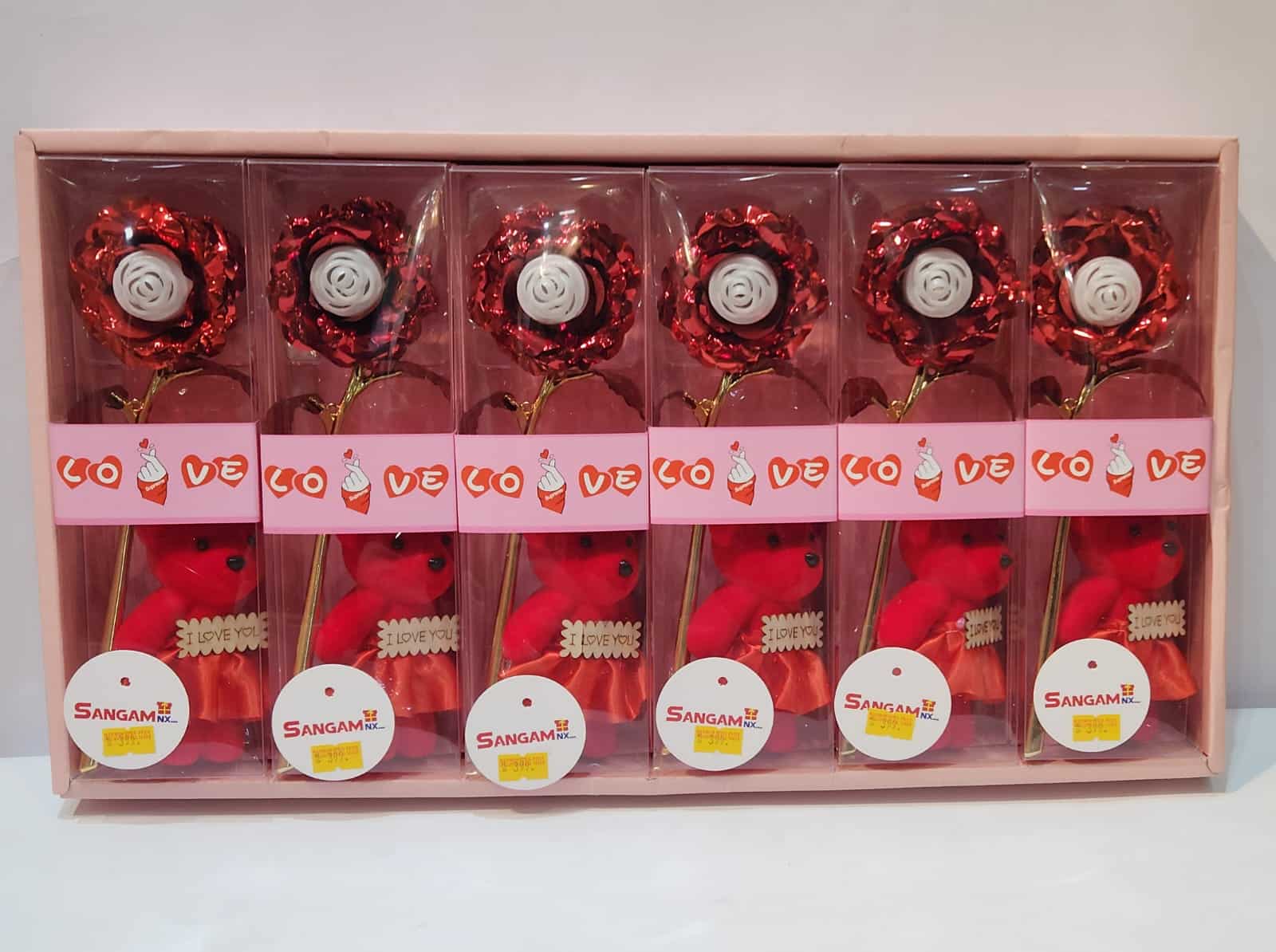 WhatsApp Image 2026-01-30 at 8.29.49 PM (2)